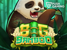 Bingo slots casino. Bahispub online oyna.83